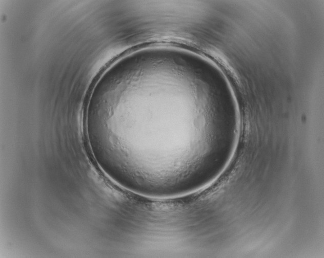 X0000090501032200707131347