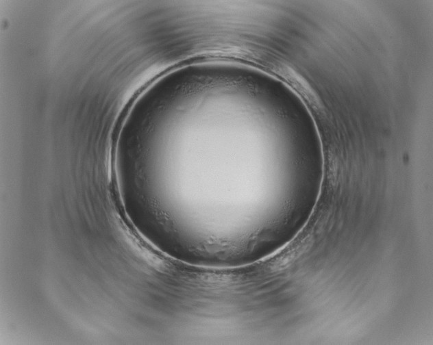 X0000090501036200707131347