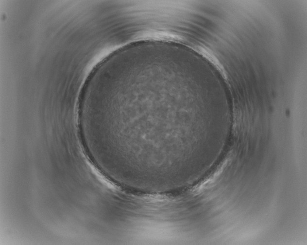 X0000090501037200707131347