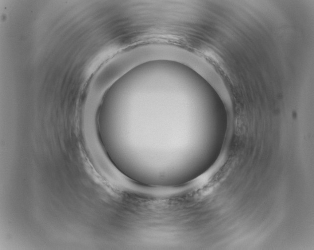 X0000090501038200707131347