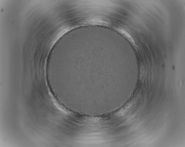 X0000090501039200707131347