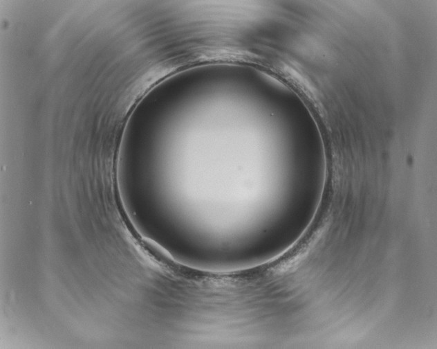 X0000090501041200707131347