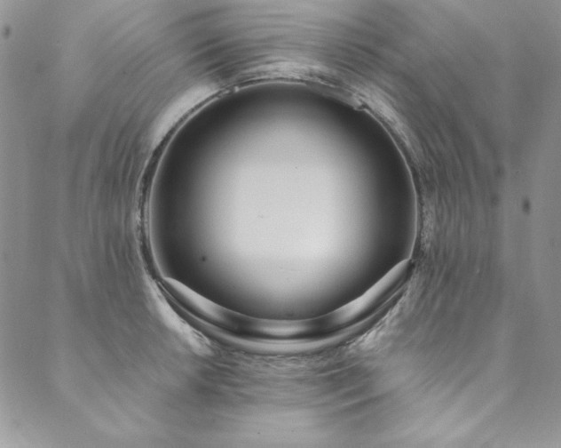 X0000090501042200707131347