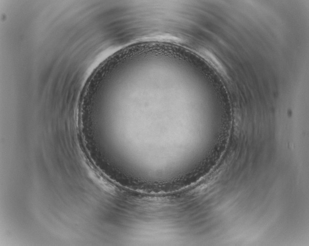 X0000090501044200707131347
