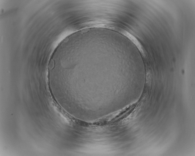 X0000090501051200707131347