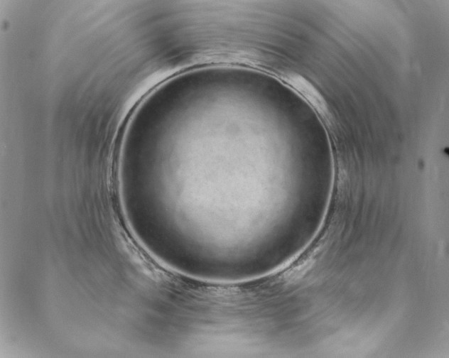 X0000090501052200707131347
