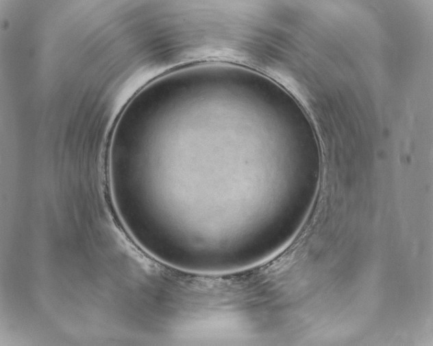 X0000090501056200707131347