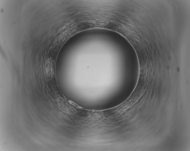 X0000090501058200707131346