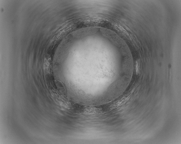 X0000090501059200707131346