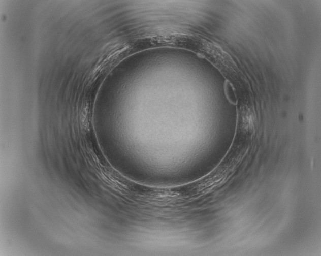 X0000090501060200707131346