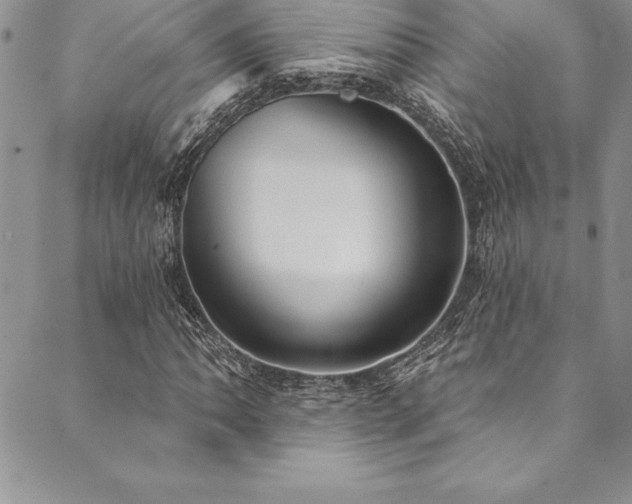 X0000090501062200707131346