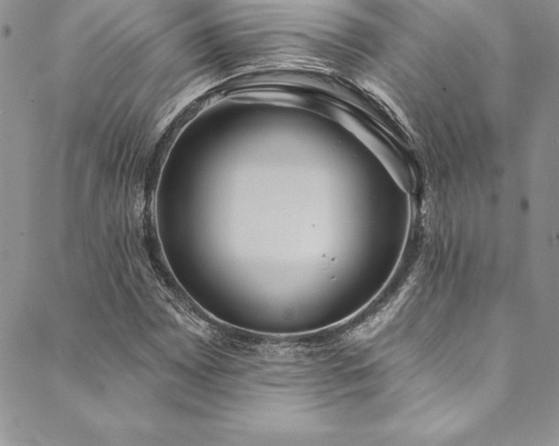 X0000090501065200707131346