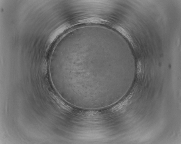 X0000090501067200707131346