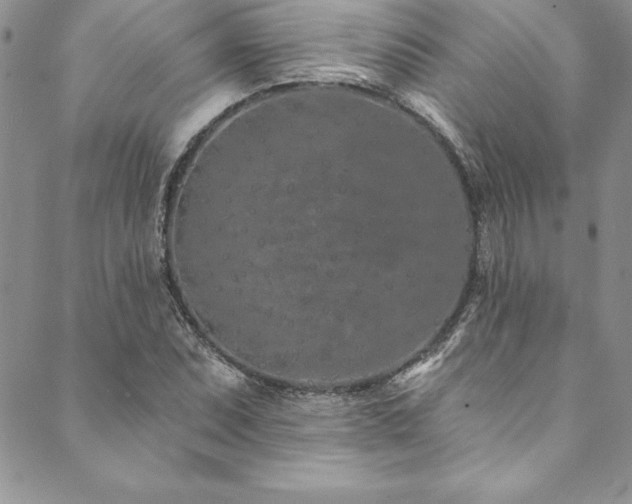 X0000090501071200707131346