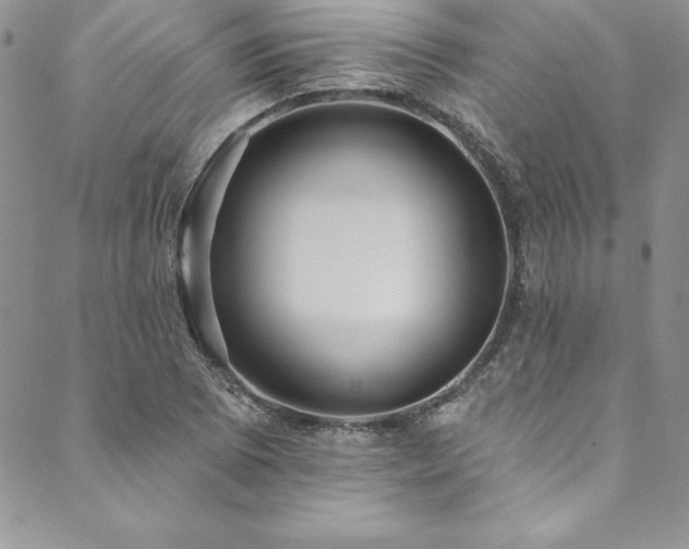X0000090501073200707131346
