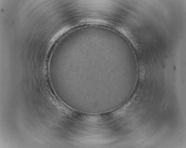 X0000090501074200707131346
