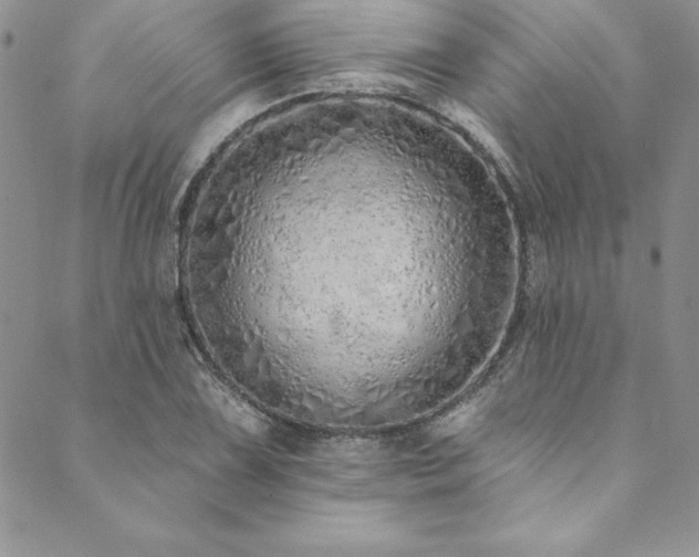 X0000090501075200707131346