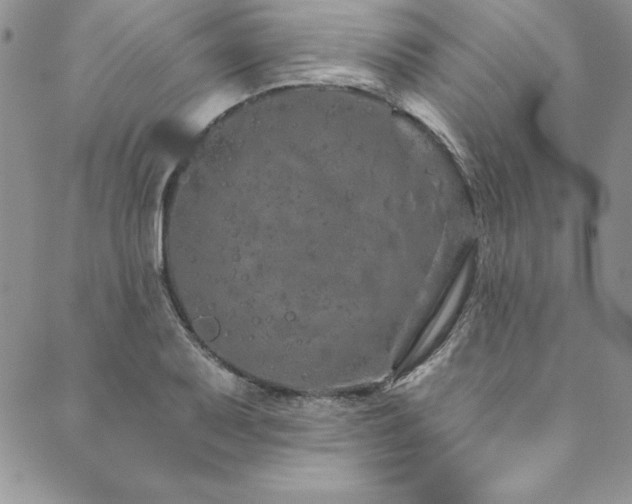 X0000090501079200707131346