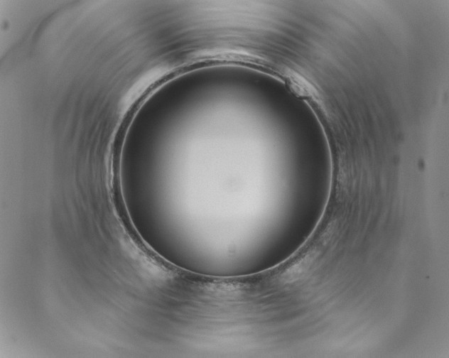 X0000090501082200707131346