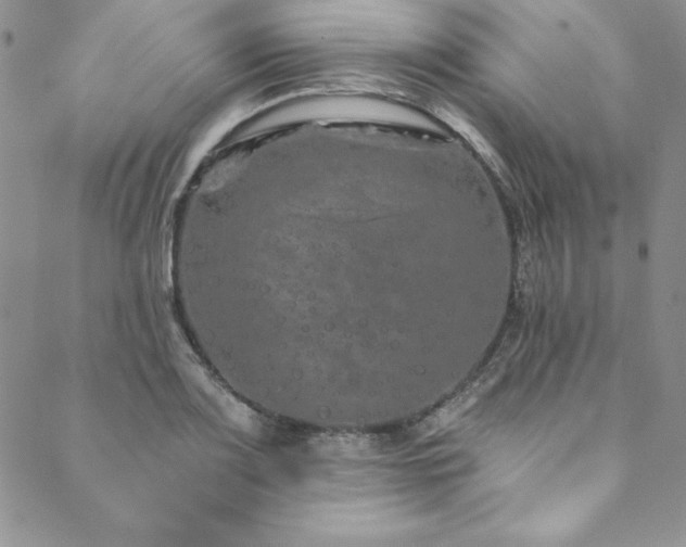 X0000090501083200707131346