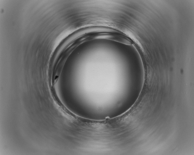 X0000090501085200707131346