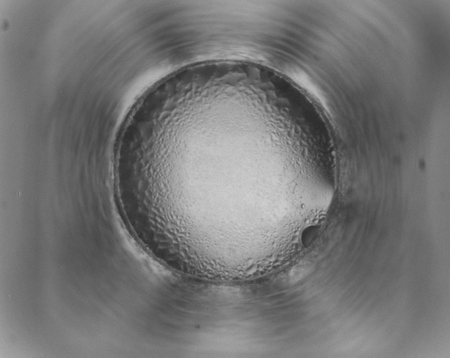 X0000090501088200707131346