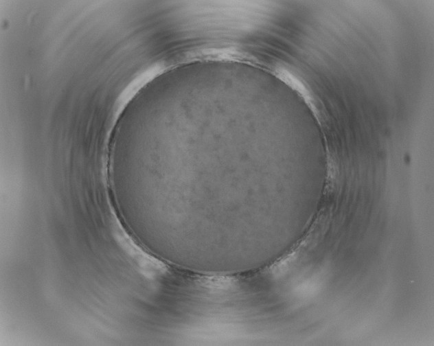 X0000090501090200707131346