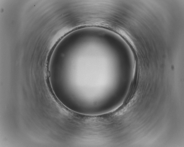 X0000090501093200707131346