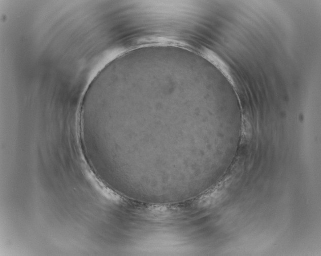X0000090501098200707131346
