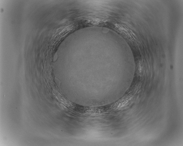 X0000090501105200707131345