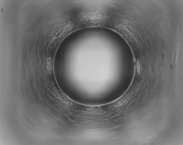 X0000090501107200707131345