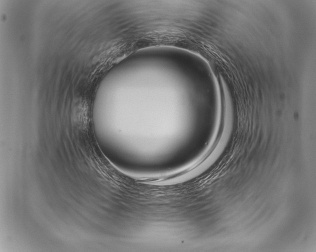 X0000090501108200707131345