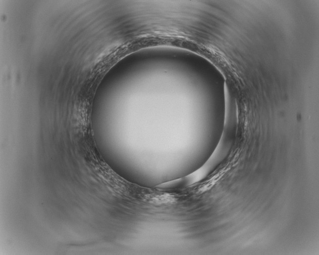 X0000090501110200707131345