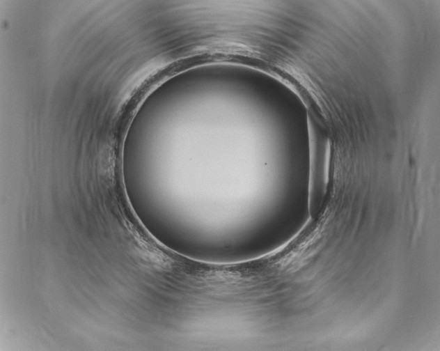 X0000090501115200707131345