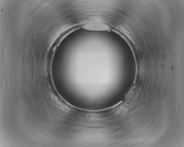 X0000090501116200707131345