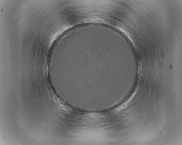 X0000090501117200707131345