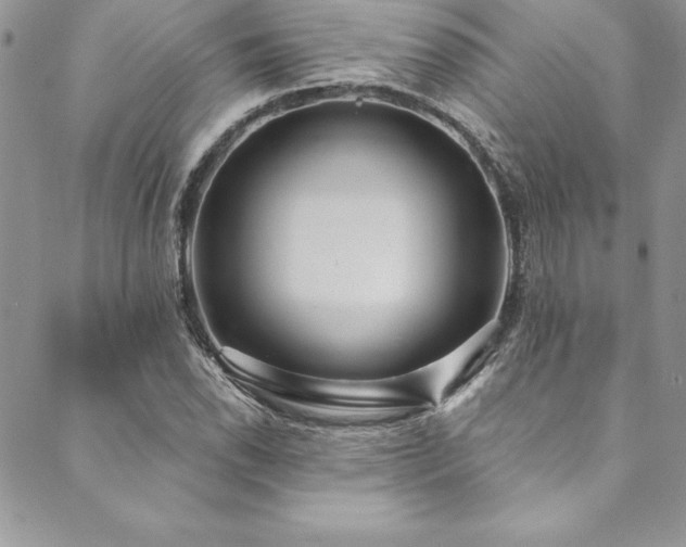 X0000090501118200707131345