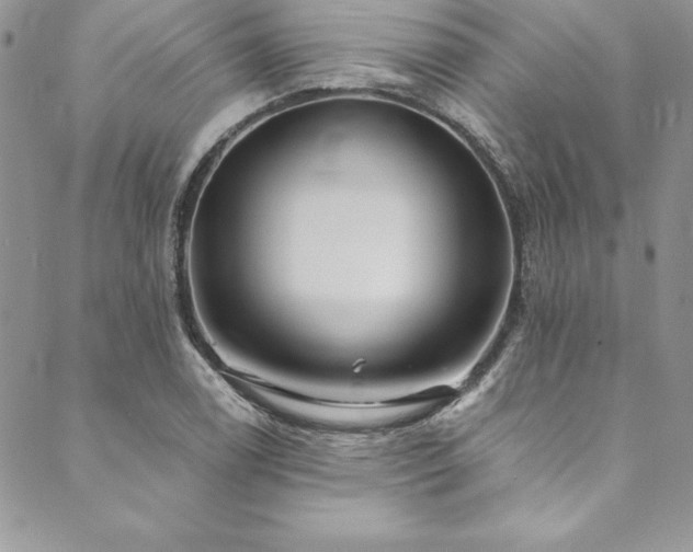 X0000090501122200707131345