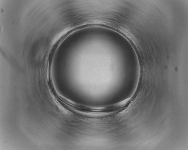 X0000090501127200707131345