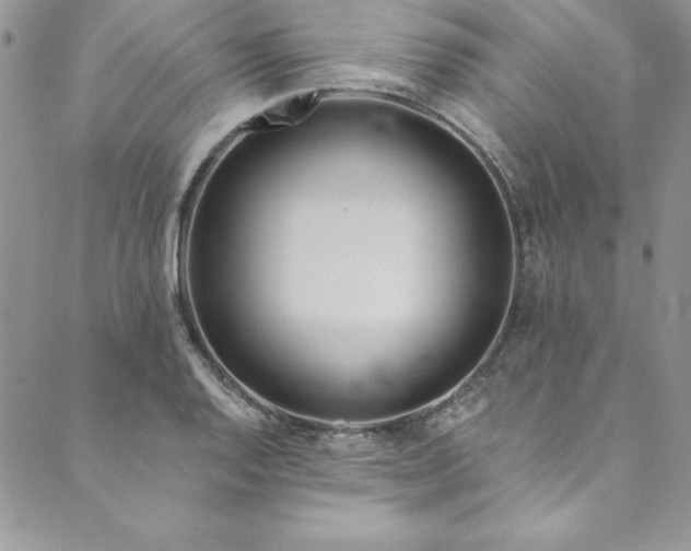 X0000090501128200707131345