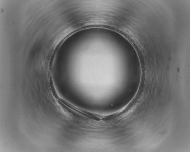 X0000090501129200707131345