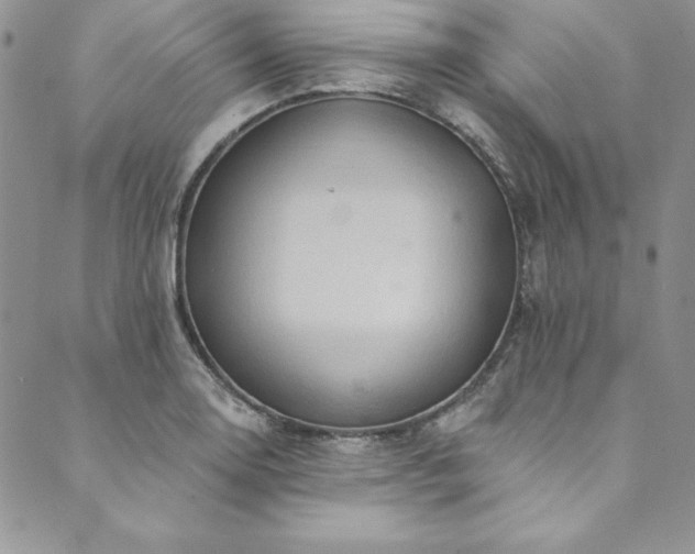 X0000090501130200707131345