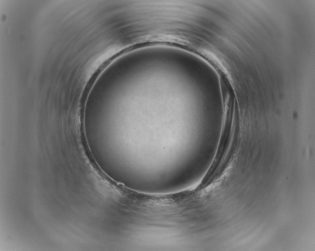 X0000090501133200707131345