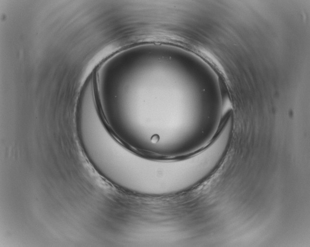 X0000090501138200707131345