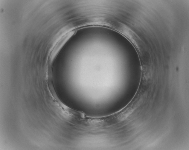 X0000090501140200707131345