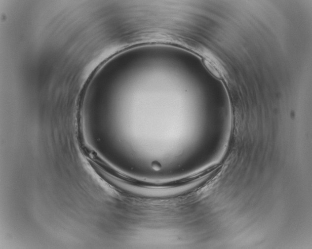 X0000090501142200707131346