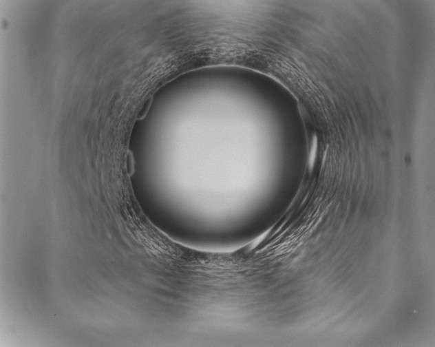 X0000090501153200707131345