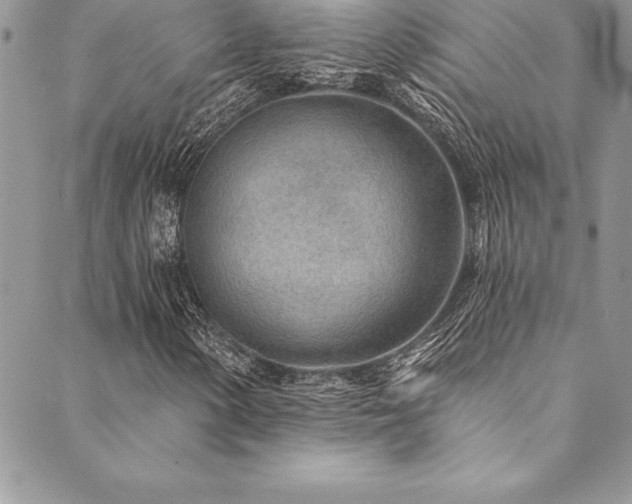 X0000090501154200707131345