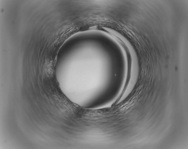 X0000090501156200707131345