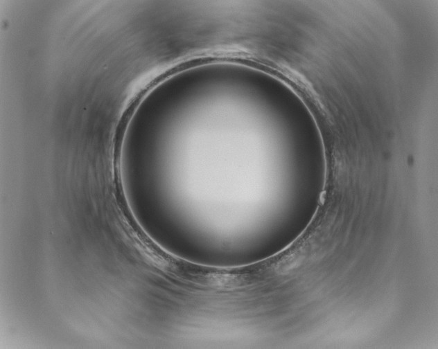 X0000090501176200707131345